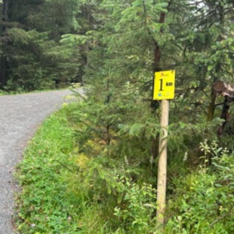 Løype Bergen Skogsmaraton_4