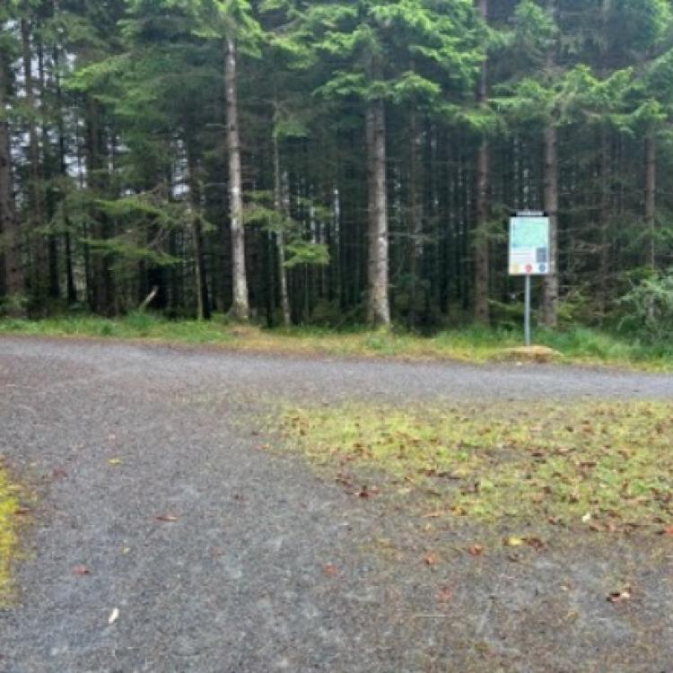 Løype Bergen Skogsmaraton_8